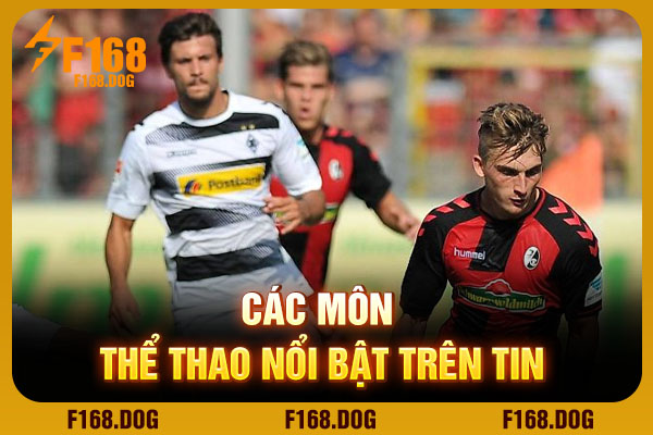 Các môn thể thao nổi bật trên tin Các môn thể thao nổi bật trên tin
