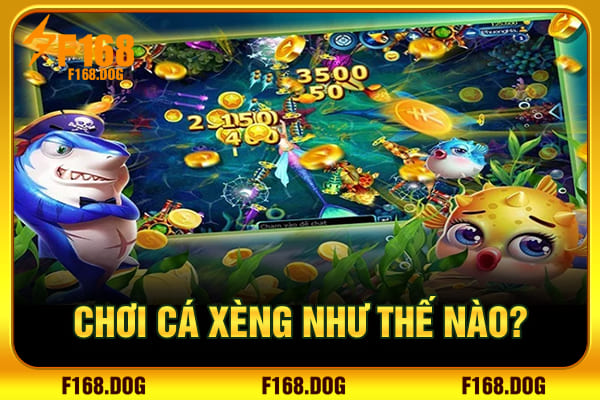 Chơi cá xèng như thế nào? Chơi cá xèng như thế nào?