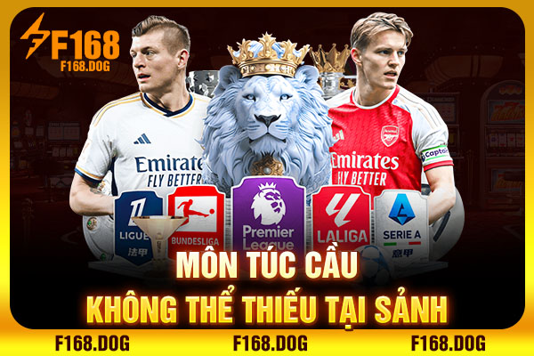 Môn túc cầu không thể thiếu tại sảnh Môn túc cầu không thể thiếu tại sảnh