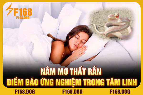 Nằm Mơ Thấy Rắn - Điềm Báo Ứng Nghiệm Trong Tâm Linh