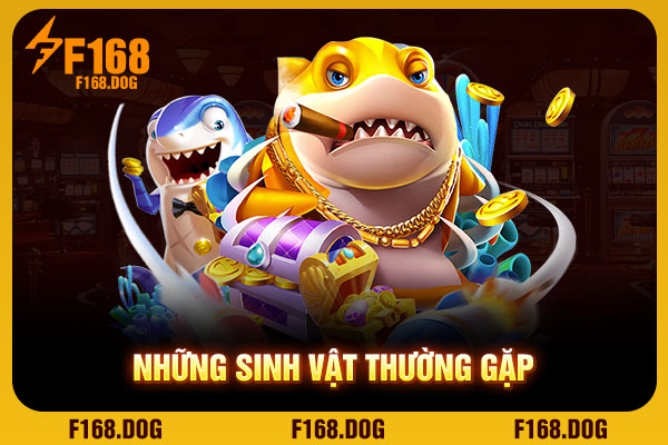 Những sinh vật thường gặp Những sinh vật thường gặp
