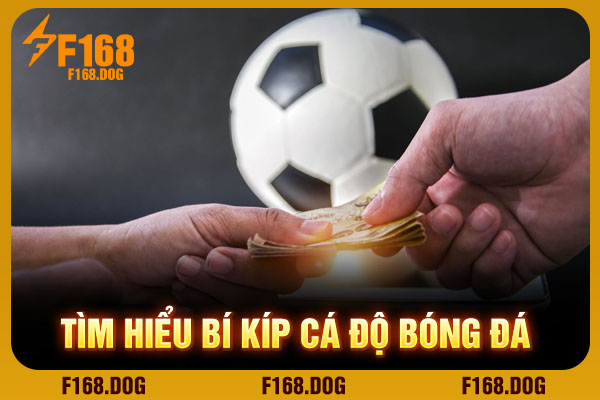 Tìm hiểu bí kíp cá độ bóng đá Tìm hiểu bí kíp cá độ bóng đá